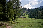 Alpe Devero - lungo il sentiero che sale a Crampiolo. 
